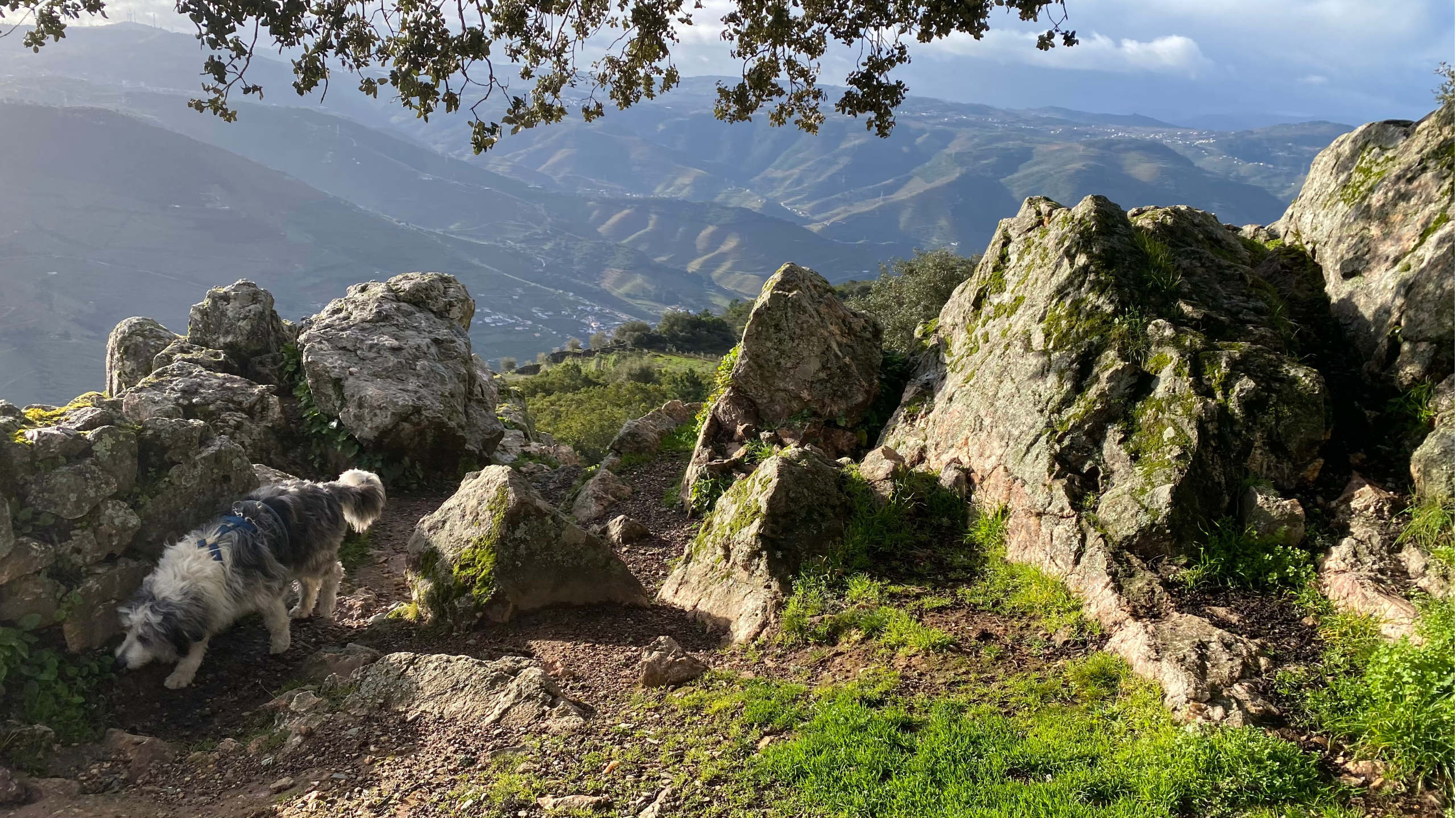Douro-Tal