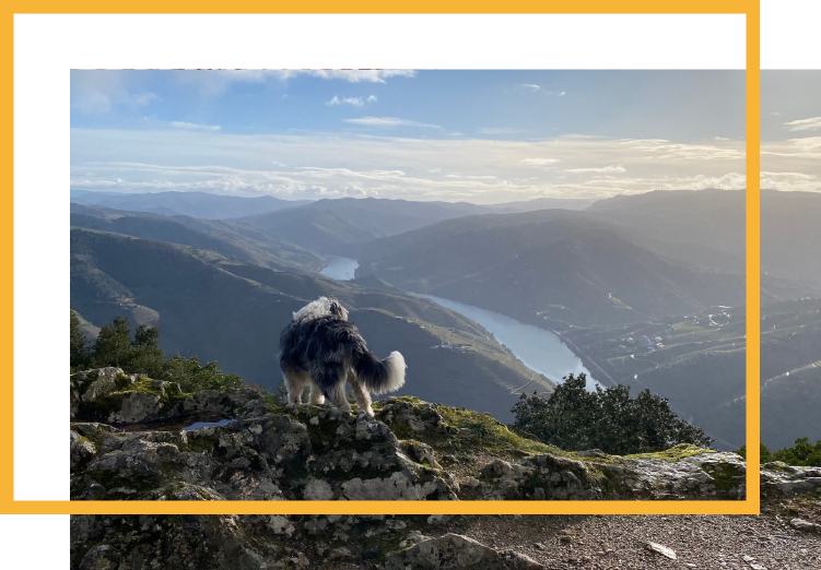 Bom dia alegria_Rahmen
